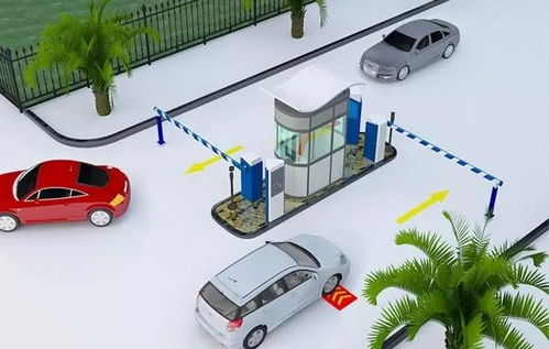 雙流區政府推出環保治理項目，破解停車難問題